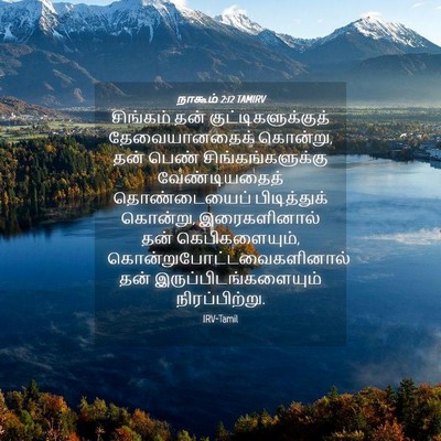 Picture 04 - நாகூம் 2:12 TAMIRV - சிங்கம் தன் - Bible Verse Picture