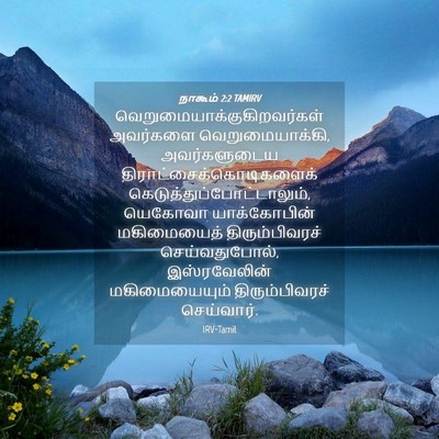 Picture 04 - நாகூம் 2:2 TAMIRV -  - Bible Verse Picture
