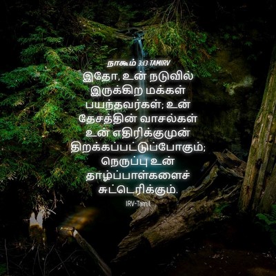 Picture 04 - நாகூம் 3:13 TAMIRV - இதோ, உன் நடுவில் - Bible Verse Picture