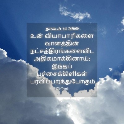 Picture 04 - நாகூம் 3:16 TAMIRV - உன் வியாபாரிகளை - Bible Verse Picture
