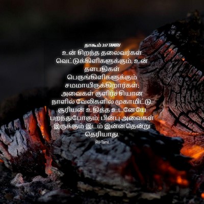 Picture 04 - நாகூம் 3:17 TAMIRV - உன் சிறந்த - Bible Verse Picture