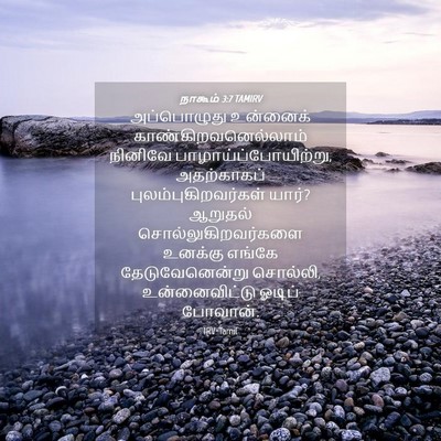 Picture 04 - நாகூம் 3:7 TAMIRV - அப்பொழுது உன்னைக் - Bible Verse Picture