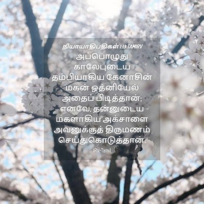 Picture 04 - நியாயாதிபதிகள் 1:13 TAMIRV - அப்பொழுது - Bible Verse Picture