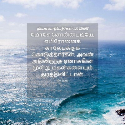Picture 04 - நியாயாதிபதிகள் 1:20 TAMIRV - மோசே சொன்னபடியே, - Bible Verse Picture