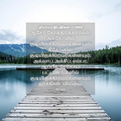 Picture 04 - நியாயாதிபதிகள் 1:31 TAMIRV - ஆசேர் - Bible Verse Picture