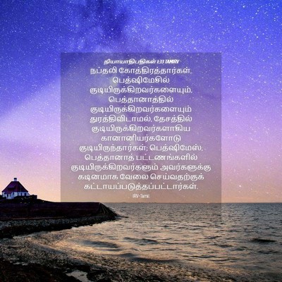 Picture 04 - நியாயாதிபதிகள் 1:33 TAMIRV - நப்தலி - Bible Verse Picture