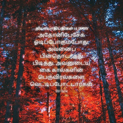Picture 04 - நியாயாதிபதிகள் 1:6 TAMIRV - அதோனிபேசேக் - Bible Verse Picture
