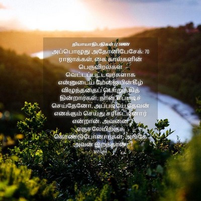 Picture 04 - நியாயாதிபதிகள் 1:7 TAMIRV - அப்பொழுது - Bible Verse Picture