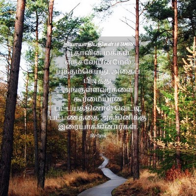 Picture 04 - நியாயாதிபதிகள் 1:8 TAMIRV - யூதாவின் மக்கள் - Bible Verse Picture