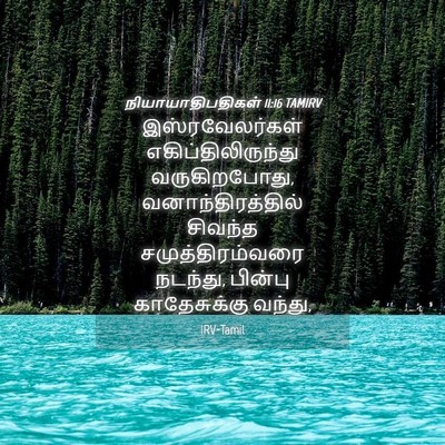 Picture 04 - நியாயாதிபதிகள் 11:16 TAMIRV - இஸ்ரவேலர்கள் - Bible Verse Picture