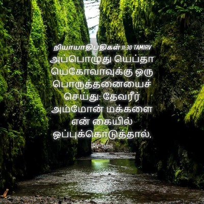Picture 04 - நியாயாதிபதிகள் 11:30 TAMIRV - அப்பொழுது யெப்தா - Bible Verse Picture
