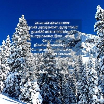 Picture 04 - நியாயாதிபதிகள் 11:33 TAMIRV - அவன் அவர்களை - Bible Verse Picture