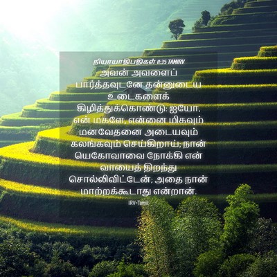 Picture 04 - நியாயாதிபதிகள் 11:35 TAMIRV - அவன் அவளைப் - Bible Verse Picture