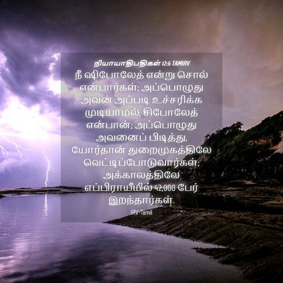 Picture 04 - நியாயாதிபதிகள் 12:6 TAMIRV - நீ ஷிபோலேத் என்று - Bible Verse Picture