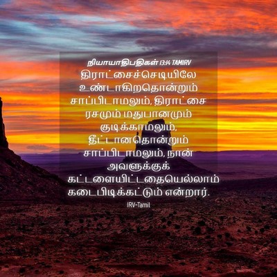 Picture 04 - நியாயாதிபதிகள் 13:14 TAMIRV -  - Bible Verse Picture