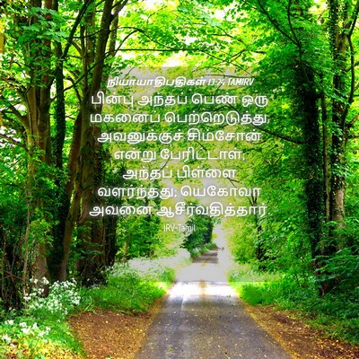 Picture 04 - நியாயாதிபதிகள் 13:24 TAMIRV - பின்பு அந்தப் - Bible Verse Picture