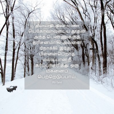 Picture 04 - நியாயாதிபதிகள் 13:3 TAMIRV - யெகோவாவுடைய தூதன் - Bible Verse Picture
