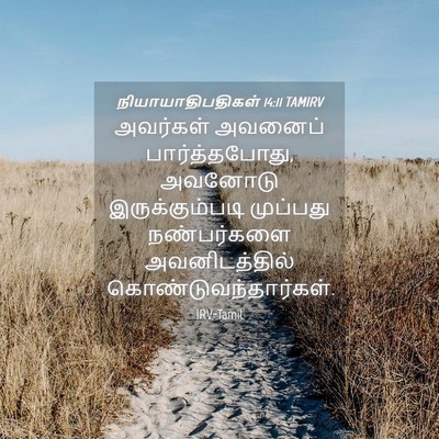 Picture 04 - நியாயாதிபதிகள் 14:11 TAMIRV - அவர்கள் அவனைப் - Bible Verse Picture