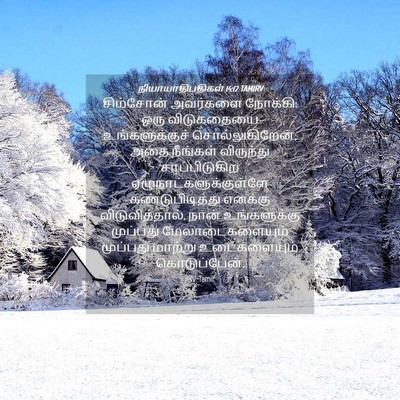 Picture 04 - நியாயாதிபதிகள் 14:12 TAMIRV - சிம்சோன் அவர்களை - Bible Verse Picture