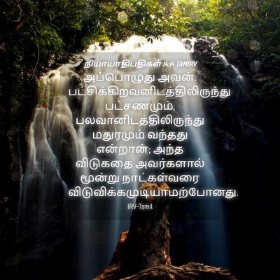Picture 04 - நியாயாதிபதிகள் 14:14 TAMIRV - அப்பொழுது அவன்: - Bible Verse Picture