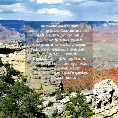 Picture 04 - நியாயாதிபதிகள் 14:6 TAMIRV - அப்பொழுது - Bible Verse Picture