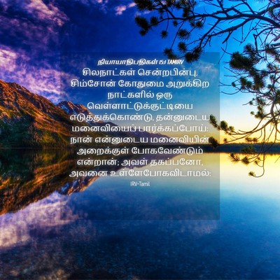 Picture 04 - நியாயாதிபதிகள் 15:1 TAMIRV - சிலநாட்கள் - Bible Verse Picture