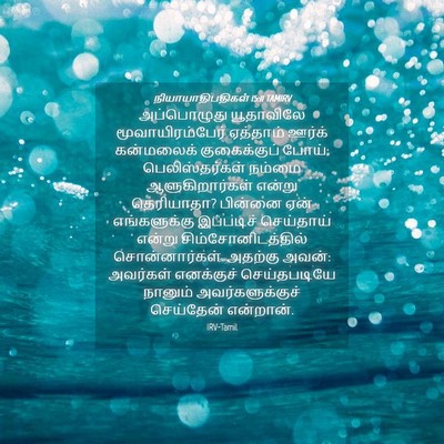 Picture 04 - நியாயாதிபதிகள் 15:11 TAMIRV - அப்பொழுது - Bible Verse Picture
