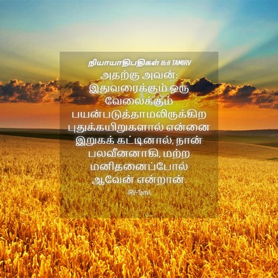 Picture 04 - நியாயாதிபதிகள் 16:11 TAMIRV - அதற்கு அவன்: - Bible Verse Picture