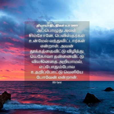 Picture 04 - நியாயாதிபதிகள் 16:20 TAMIRV - அப்பொழுது அவள்: - Bible Verse Picture