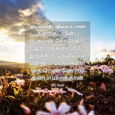 Picture 04 - நியாயாதிபதிகள் 16:4 TAMIRV - அதற்குப்பின்பு - Bible Verse Picture