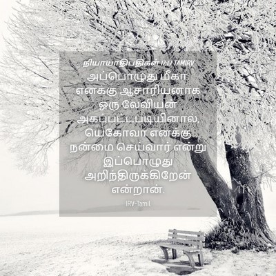 Picture 04 - நியாயாதிபதிகள் 17:13 TAMIRV - அப்பொழுது மீகா: - Bible Verse Picture