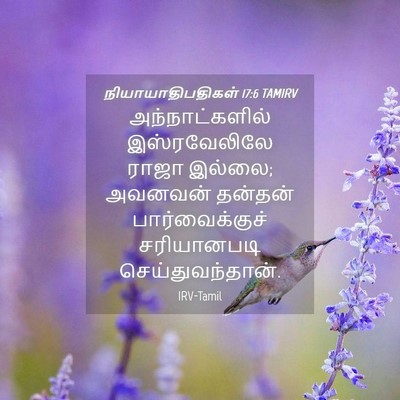 Picture 04 - நியாயாதிபதிகள் 17:6 TAMIRV - அந்நாட்களில் - Bible Verse Picture