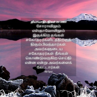 Picture 04 - நியாயாதிபதிகள் 18:8 TAMIRV - சோராவிலும் - Bible Verse Picture