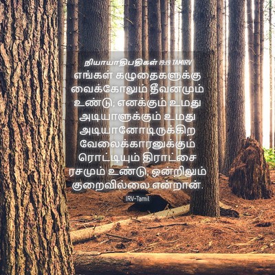 Picture 04 - நியாயாதிபதிகள் 19:19 TAMIRV - எங்கள் - Bible Verse Picture