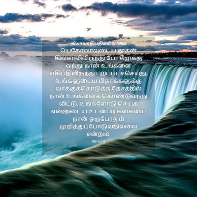 Picture 04 - நியாயாதிபதிகள் 2:1 TAMIRV - யெகோவாவுடைய தூதன் - Bible Verse Picture
