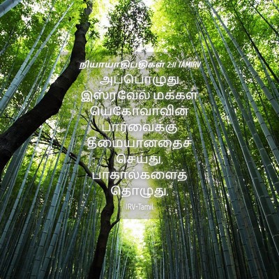 Picture 04 - நியாயாதிபதிகள் 2:11 TAMIRV - அப்பொழுது - Bible Verse Picture