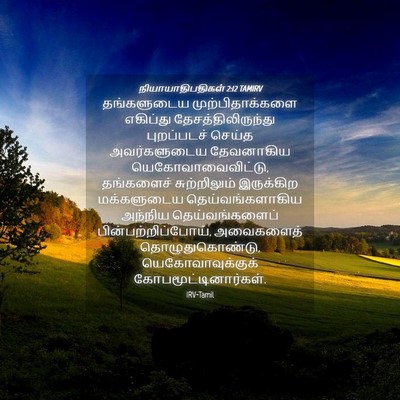 Picture 04 - நியாயாதிபதிகள் 2:12 TAMIRV - தங்களுடைய - Bible Verse Picture