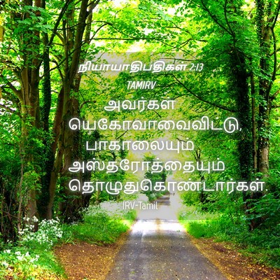 Picture 04 - நியாயாதிபதிகள் 2:13 TAMIRV - அவர்கள் - Bible Verse Picture