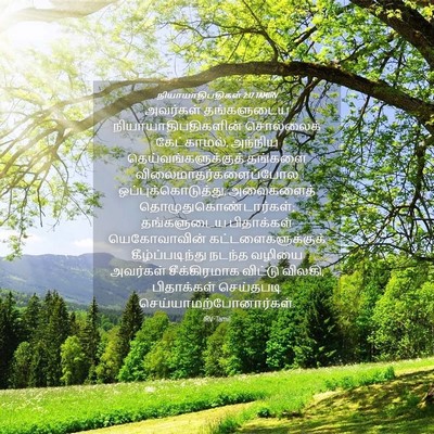Picture 04 - நியாயாதிபதிகள் 2:17 TAMIRV - அவர்கள் தங்களுடைய - Bible Verse Picture