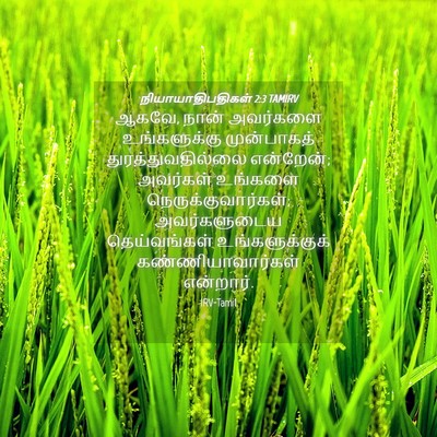 Picture 04 - நியாயாதிபதிகள் 2:3 TAMIRV - ஆகவே, நான் அவர்களை - Bible Verse Picture