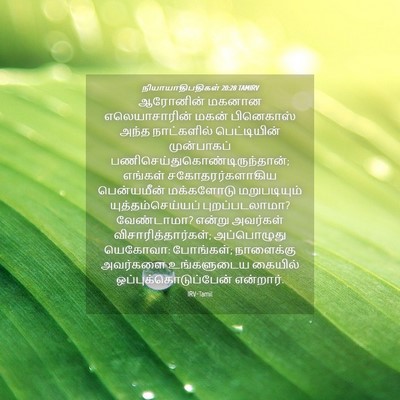 Picture 04 - நியாயாதிபதிகள் 20:28 TAMIRV - ஆரோனின் மகனான - Bible Verse Picture
