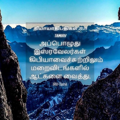Picture 04 - நியாயாதிபதிகள் 20:29 TAMIRV - அப்பொழுது - Bible Verse Picture