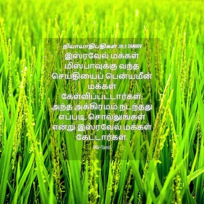 Picture 04 - நியாயாதிபதிகள் 20:3 TAMIRV - இஸ்ரவேல் மக்கள் - Bible Verse Picture