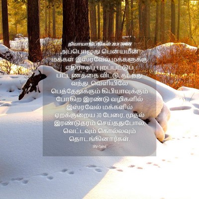 Picture 04 - நியாயாதிபதிகள் 20:31 TAMIRV - அப்பொழுது - Bible Verse Picture