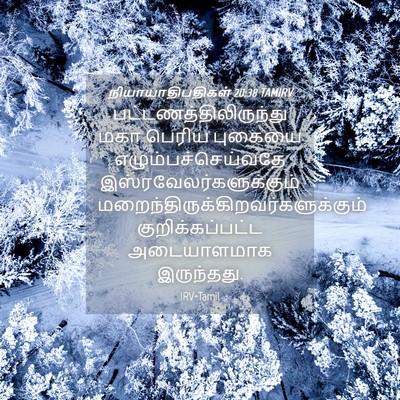 Picture 04 - நியாயாதிபதிகள் 20:38 TAMIRV -  - Bible Verse Picture