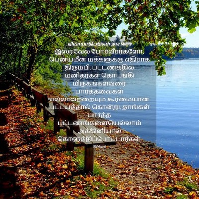 Picture 04 - நியாயாதிபதிகள் 20:48 TAMIRV - இஸ்ரவேல் - Bible Verse Picture
