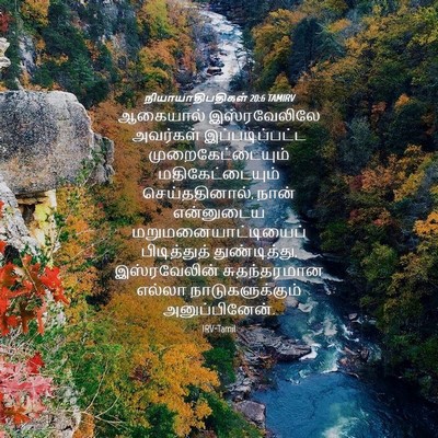 Picture 04 - நியாயாதிபதிகள் 20:6 TAMIRV - ஆகையால் - Bible Verse Picture