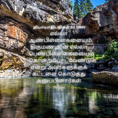 Picture 04 - நியாயாதிபதிகள் 21:11 TAMIRV - எல்லா - Bible Verse Picture
