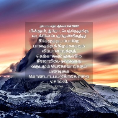 Picture 04 - நியாயாதிபதிகள் 21:19 TAMIRV - பின்னும், இதோ, - Bible Verse Picture