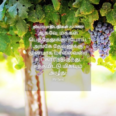 Picture 04 - நியாயாதிபதிகள் 21:2 TAMIRV - ஆகவே, மக்கள் - Bible Verse Picture